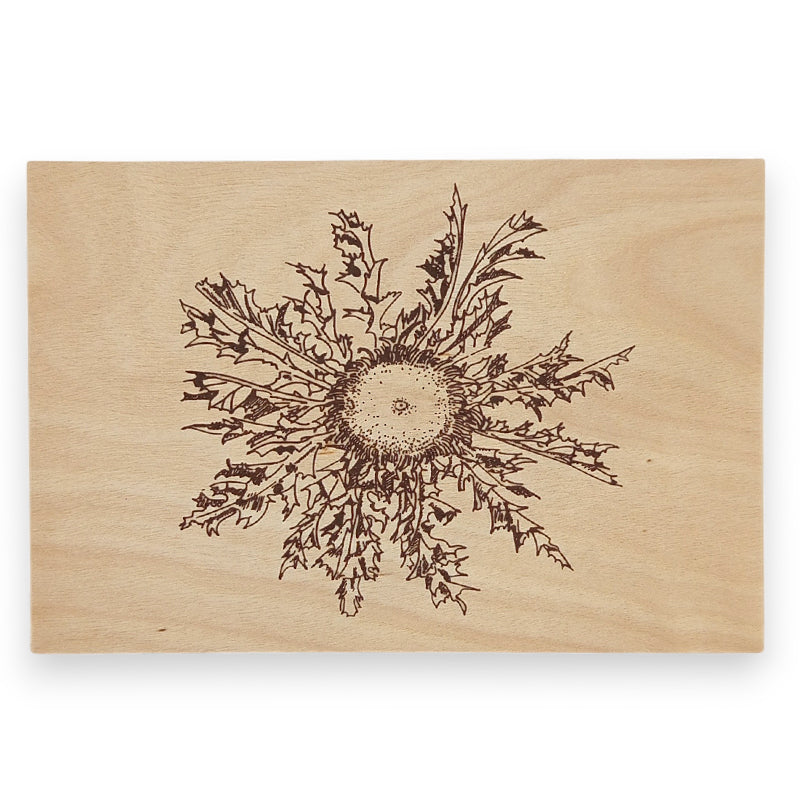 carte postale en bois sérigraphiée qui peut être envoyée par la poste avec un seul timbre